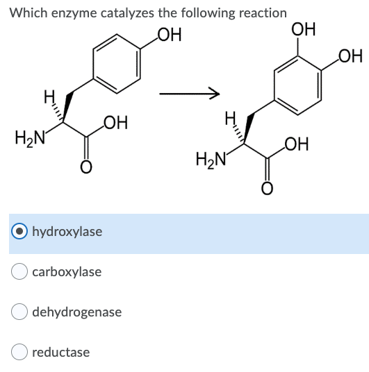 Solved What Type Of Enzyme Catalyzes The Following Reaction Chegg