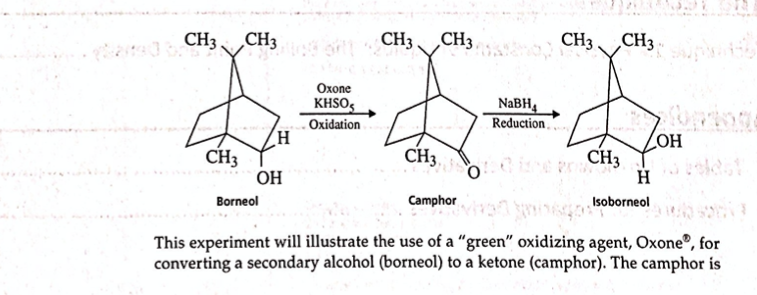 Please Help With This Lab Camphor Reduction Lab A Chegg