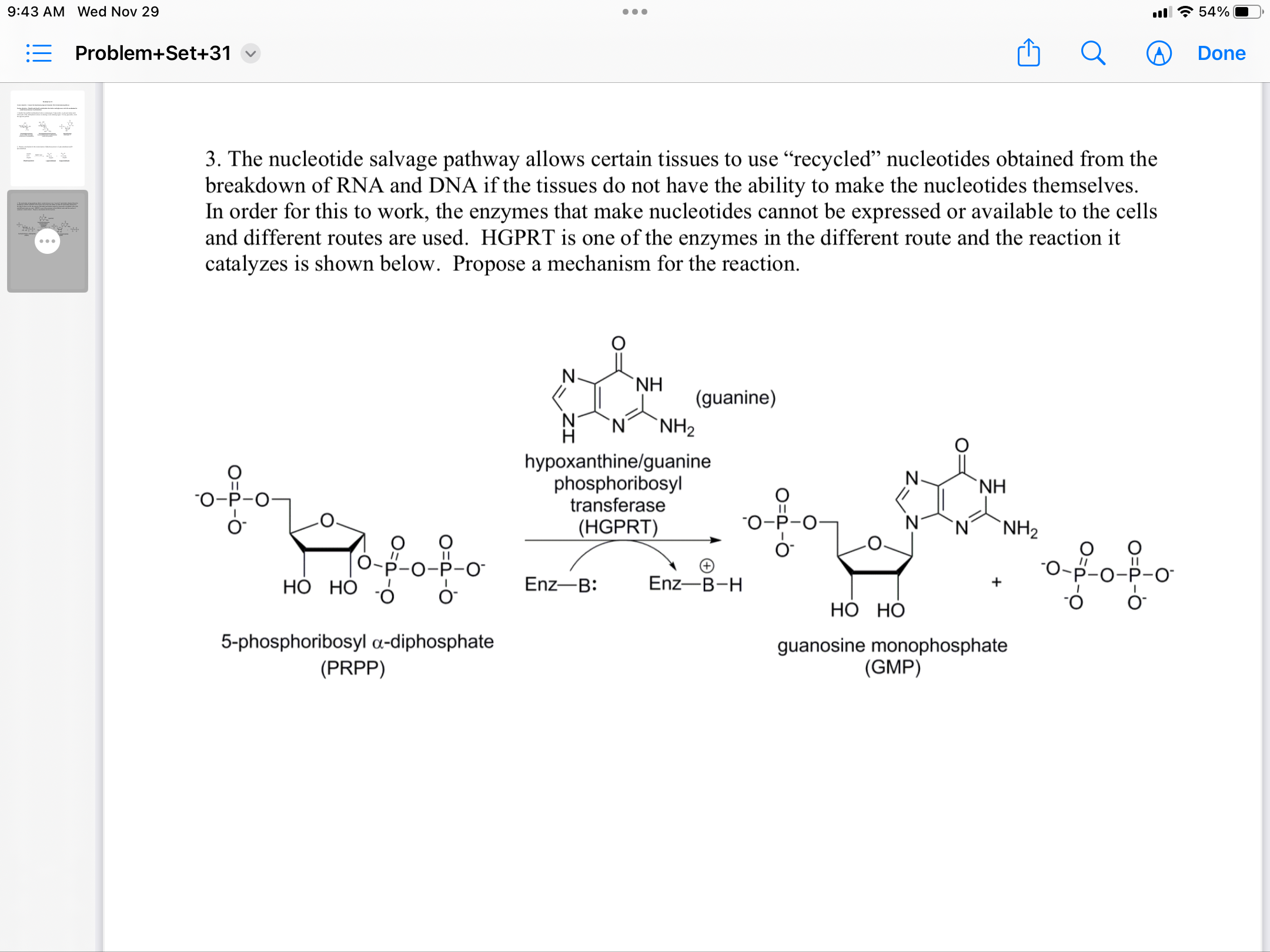 Solved 3 The Nucleotide Salvage Pathway Allows Certain Chegg