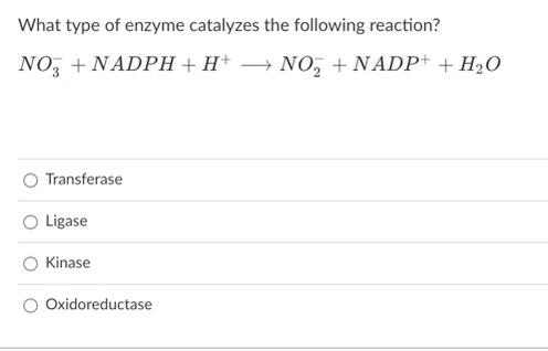 Solved What Type Of Enzyme Catalyzes The Following Reaction Chegg