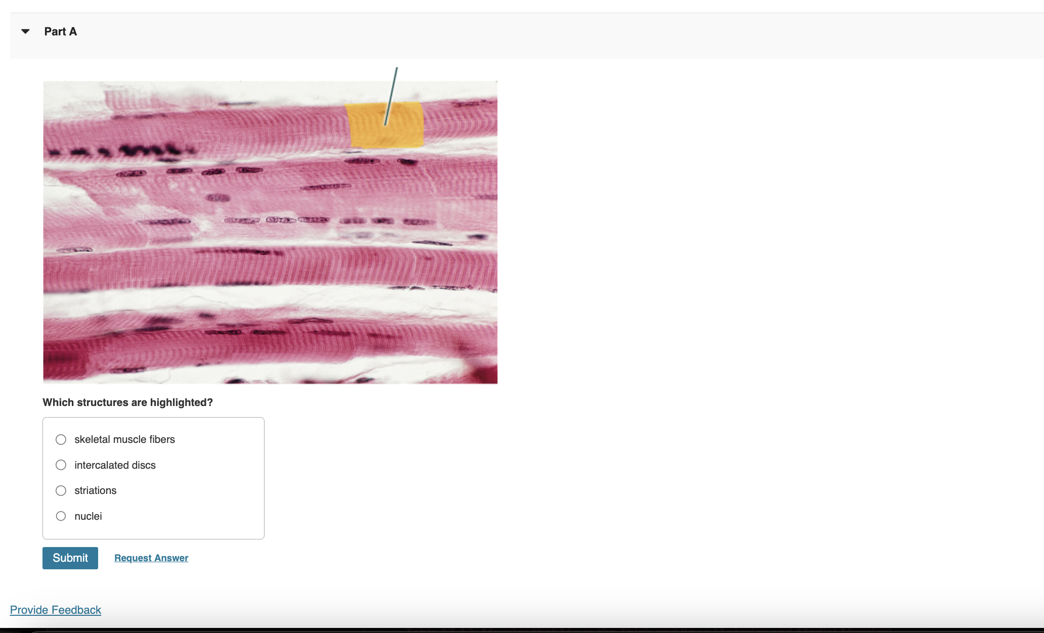 Solved Which Structures Are Highlighted Skeletal Muscle Chegg