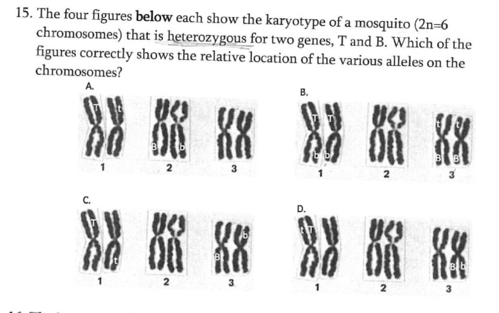 Solved The Four Figures Below Each Show The Karyotype Of Chegg