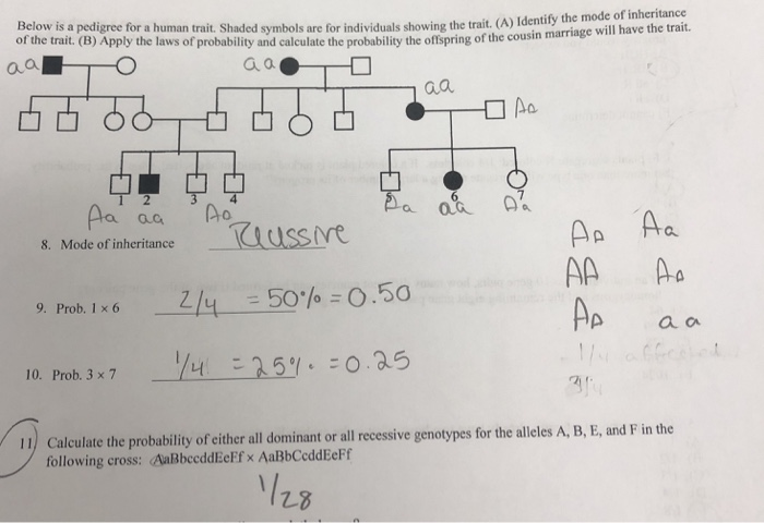 Solved Below Is A Pedigree For A Human Trait Shaded Symbols Chegg