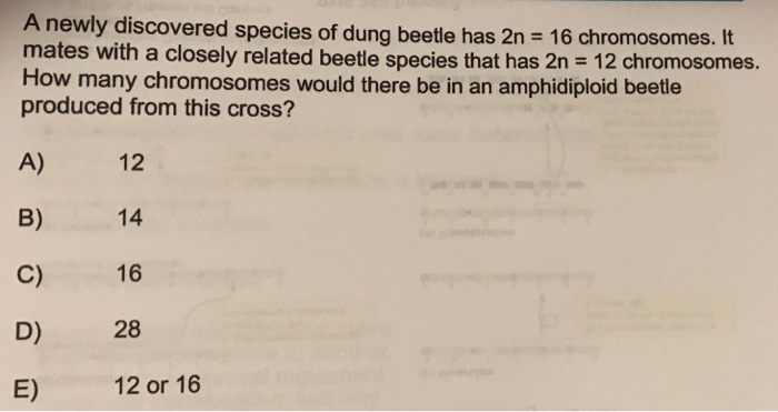 Solved A Newly Discovered Species Of Dung Beetle Has N Chegg