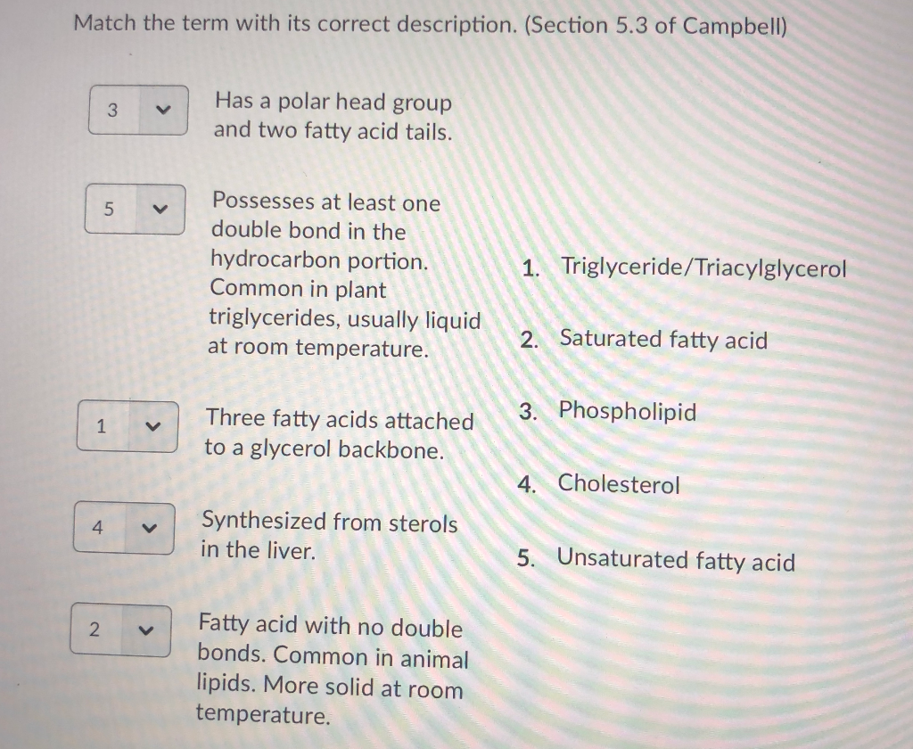 Solved Match The Term With Its Correct Description Section Chegg