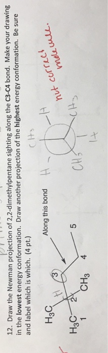 Solved Draw The Newman Projection Of Dimethylpentane Chegg