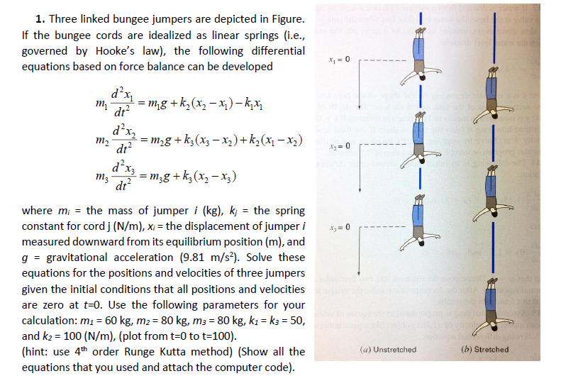 Solved Three Linked Bungee Jumpers Are Depicted In Chegg