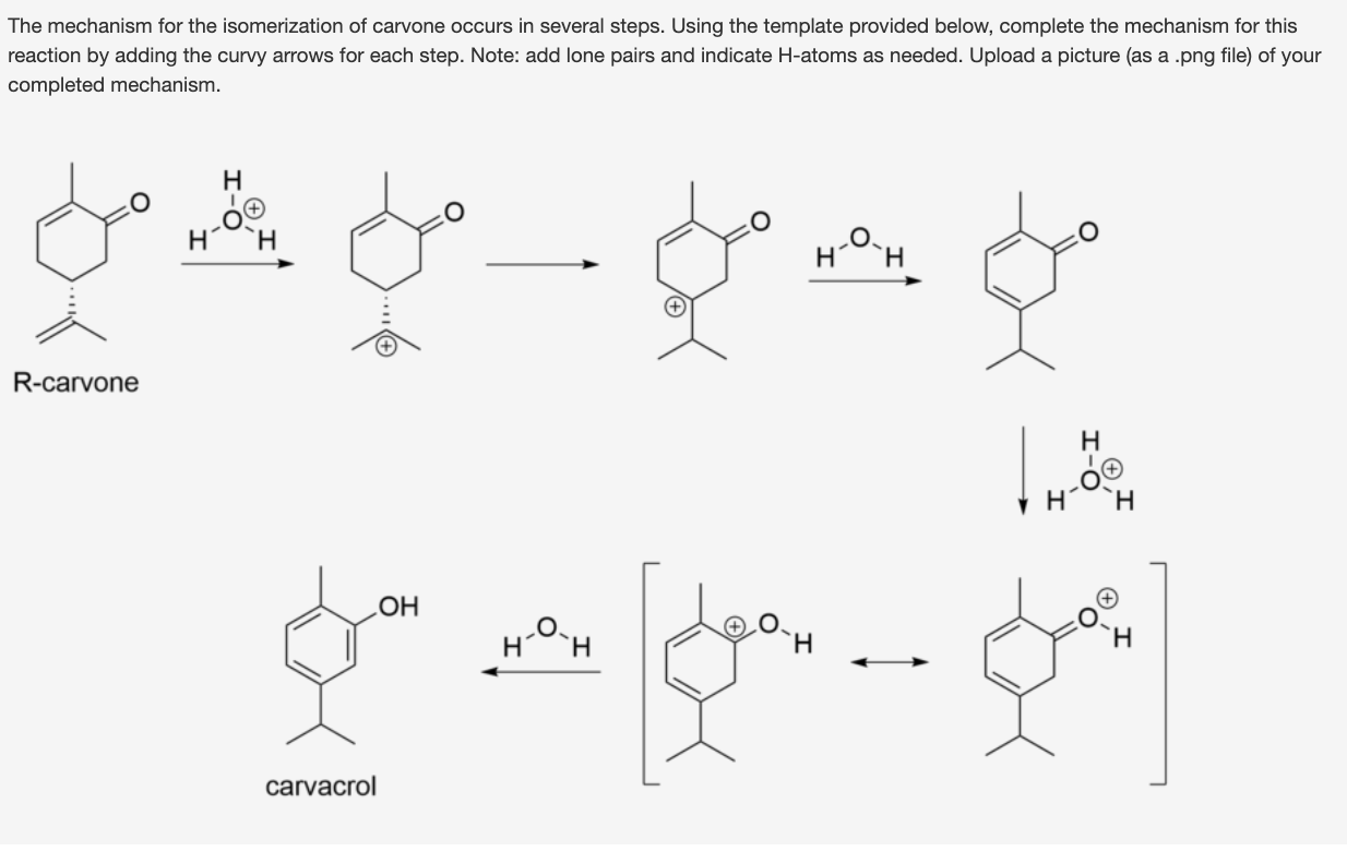 Solved The Mechanism For The Isomerization Of Carvone Occurs Chegg