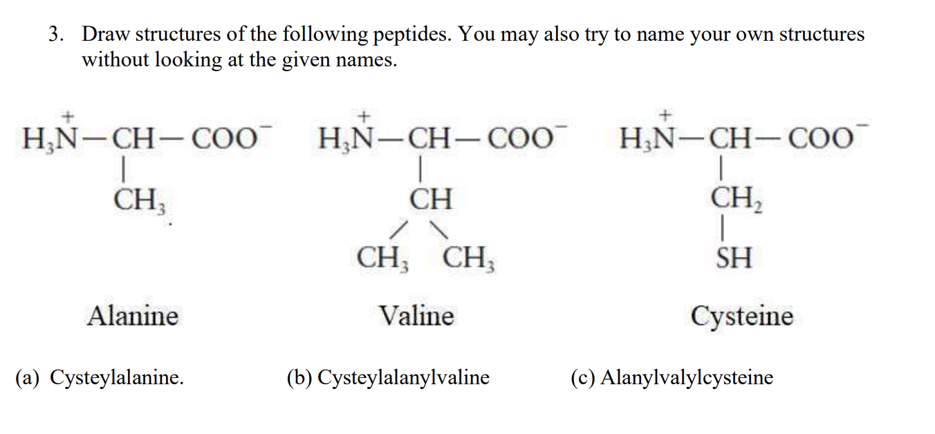 Solved 3 Draw Structures Of The Following Peptides You May Chegg