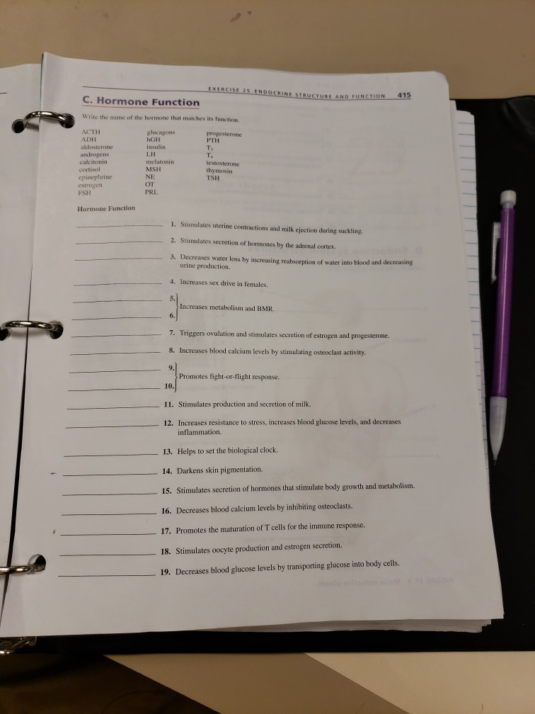 Solved EXERCISE 25 ENDOCRINE STRUCTURE AND FUNCTION 415 C Chegg