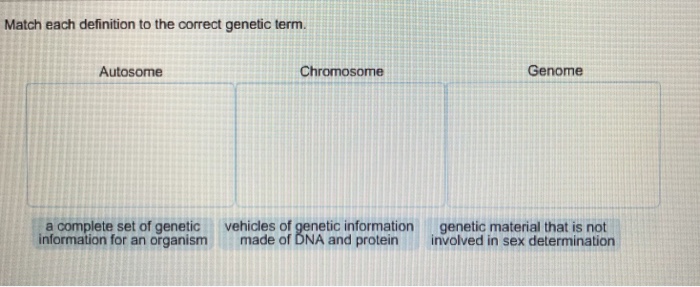 Solved Match Each Definition To The Correct Genetic Term Chegg