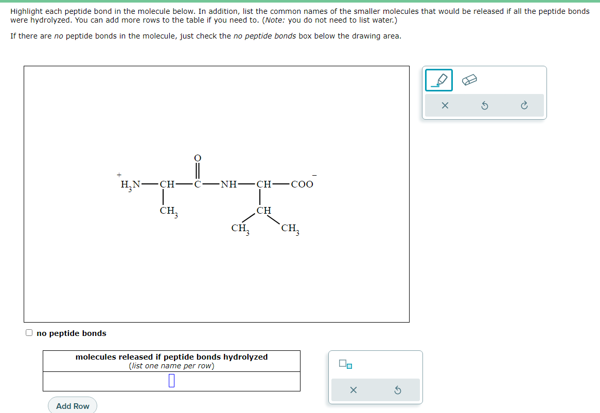 Solved Highlight Each Peptide Bond In The Molecule Below In Chegg