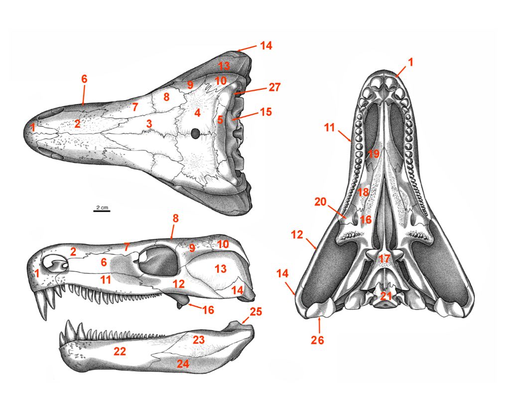 The Image Provided Is A Diagrammatic Illustration Of Chegg