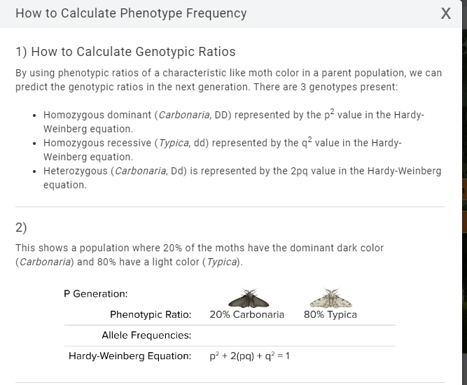 Solved Phenotype Frequency Allele Frequency Genotype Chegg