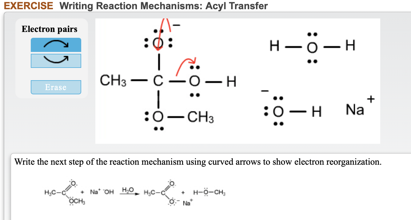 Solved Exercise Writing Reaction Mechanisms Acyl Transfer Chegg