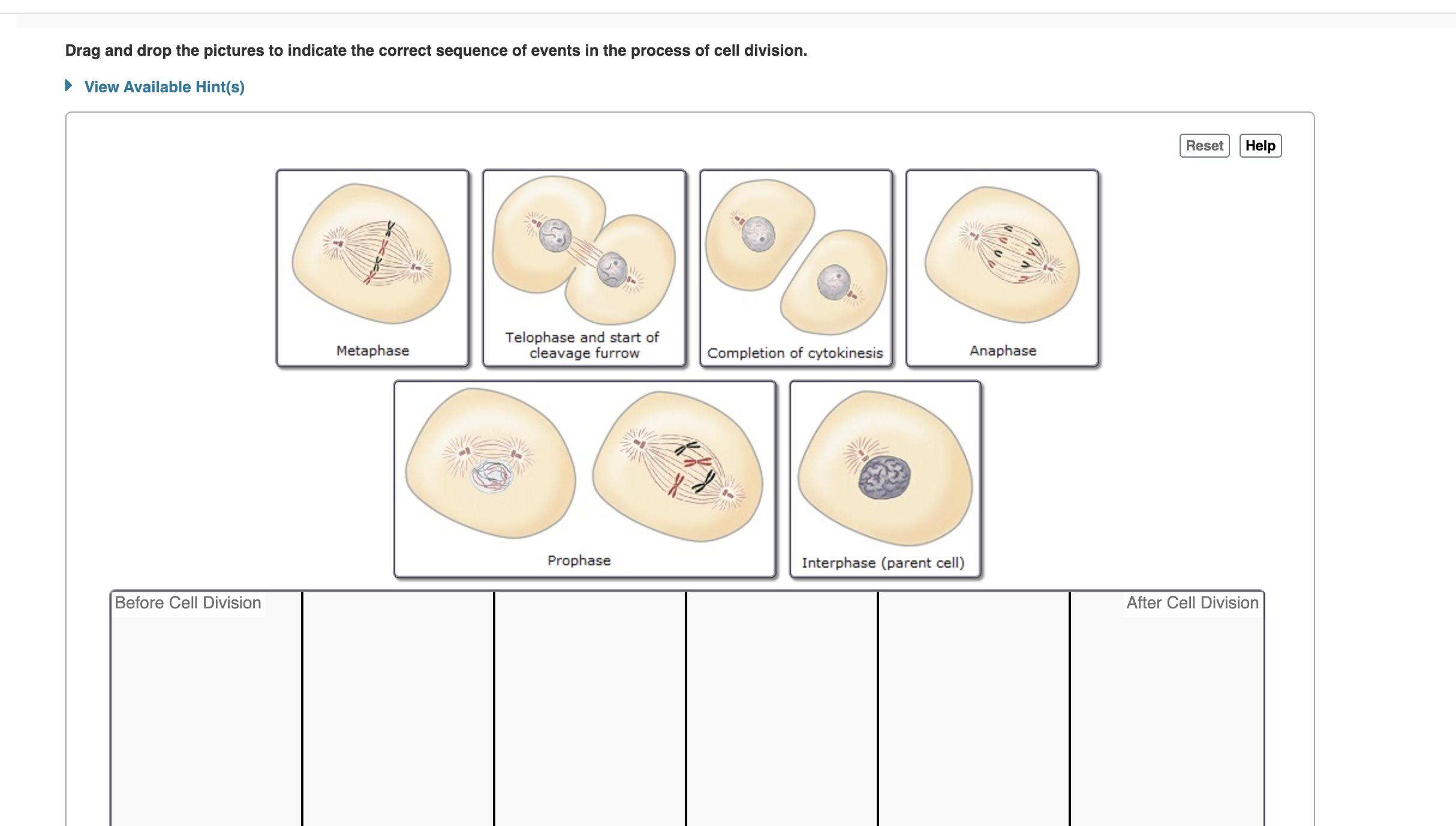 Solved Drag And Drop The Pictures To Indicate The Correct Chegg