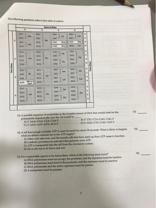 Solved The Following Questions Refer To This Table Of Codons Chegg