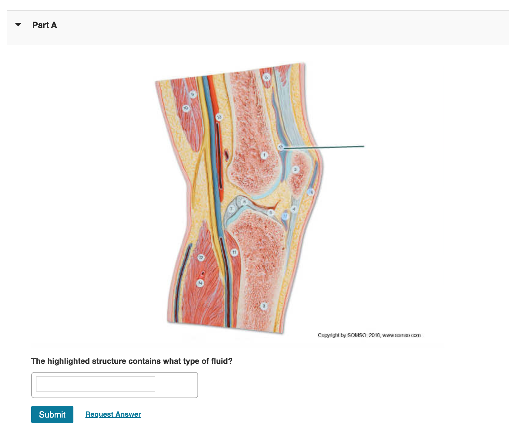 Solved The Highlighted Structure Contains What Type Of Chegg