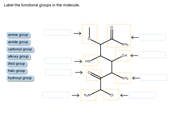  transcribed image text Label the functional groups in this molecule