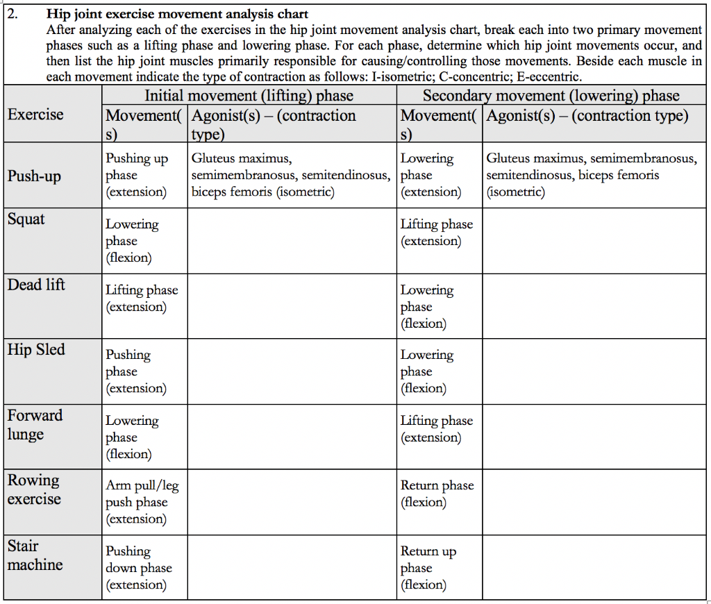 Solved Hip Joint Exercise Movement Analysis Chart After Chegg