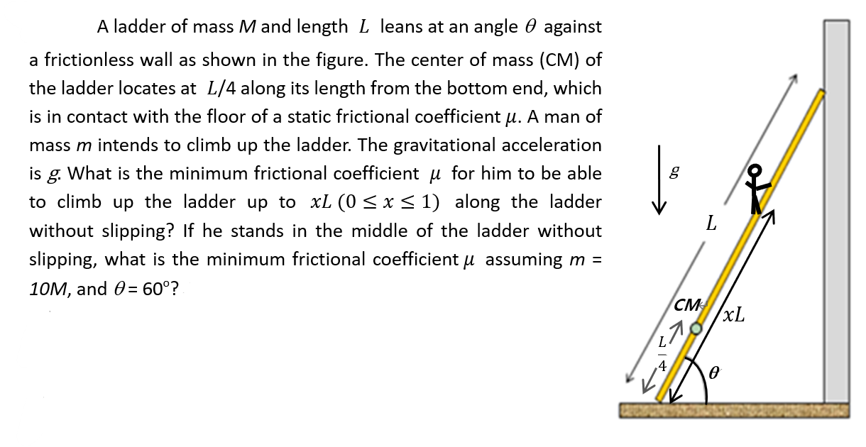 Solved A ladder of mass M and length L leans at an angle θ Chegg