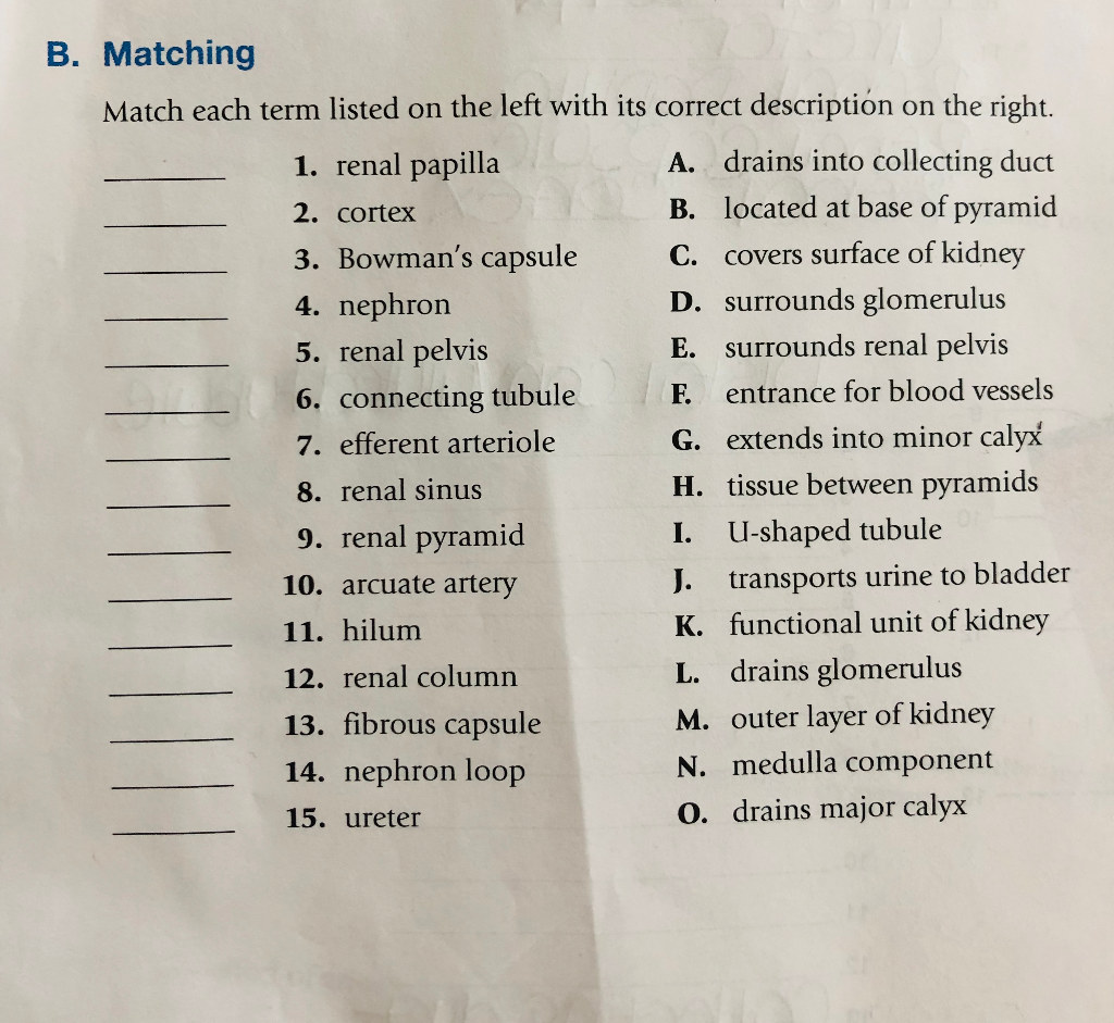 Solved Match Each Term Listed On The Left With Its Correct Chegg