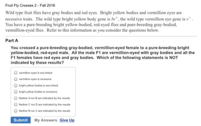 Solved Please Explain I Know It Is Sex Linked Chegg