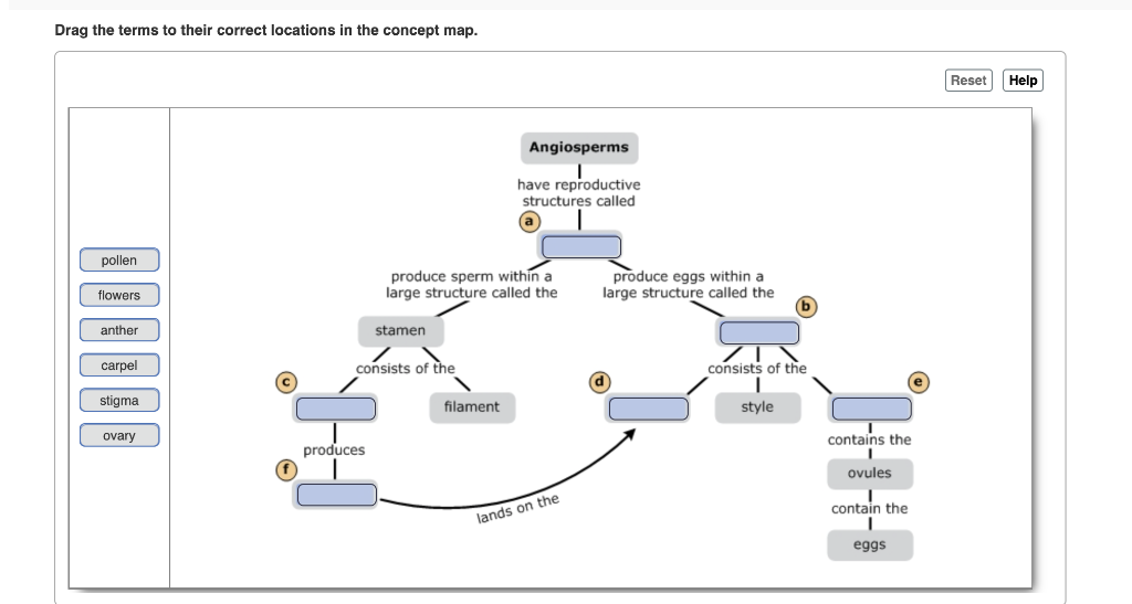 Solved Drag The Terms To Their Correct Locations In The Chegg