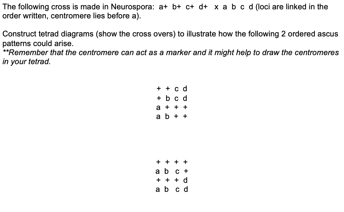 Solved The Following Cross Is Made In Neurospora A B Chegg