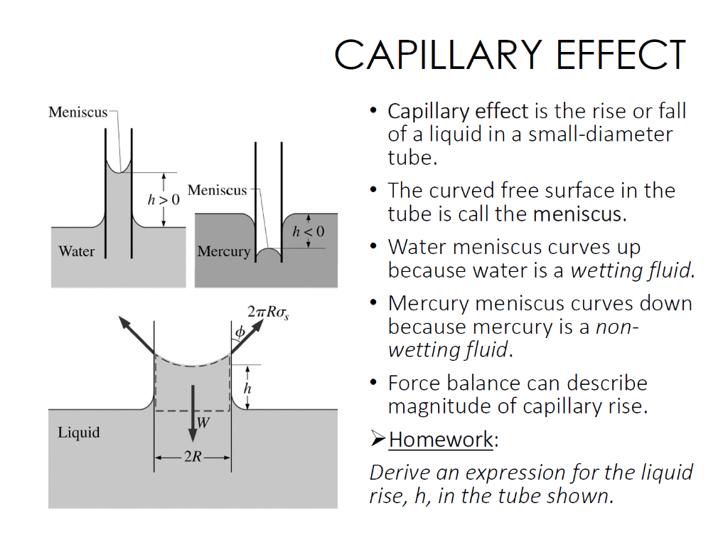 Solved Capillary Effect Capillary Effect Is The Rise Or Chegg