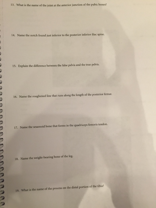 School uniform research paper pdf