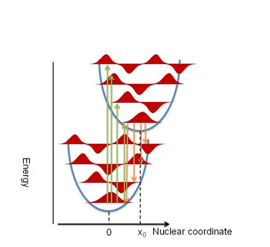 Solved The Following Energy Diagram Illustrates The Frank Chegg