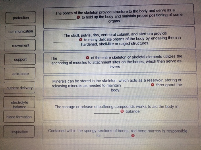 Biology Archive March 26, 2017