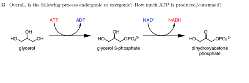 Solved 33 Overall Is The Following Process Endergonic Or Chegg