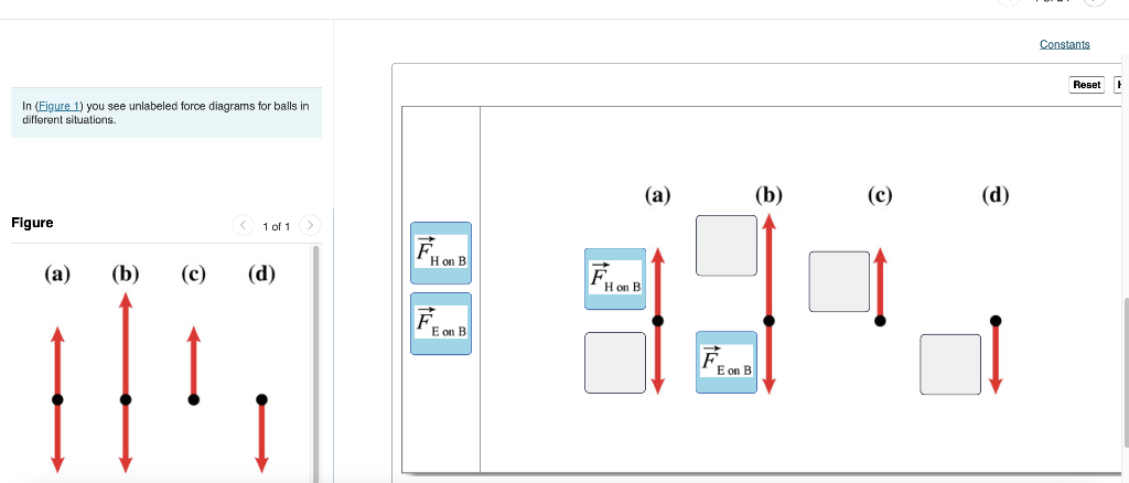 Solved In Figure You See Unlabeled Force Diagrams For Chegg