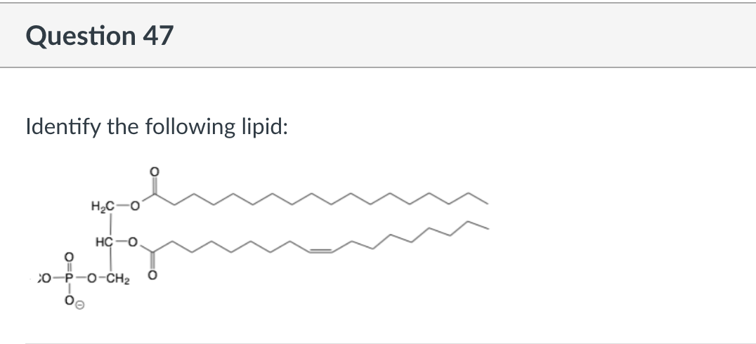 Identify The Following Lipid