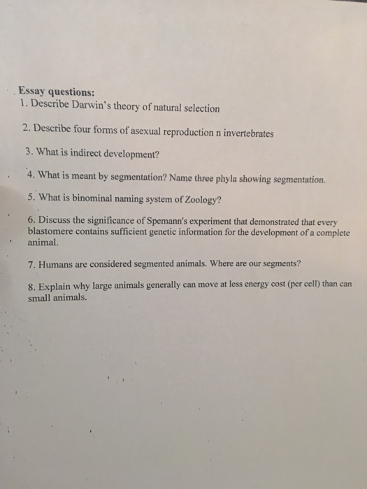 Evolution essay questions