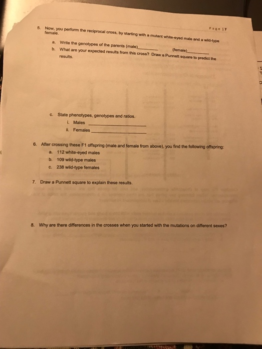 Solved Pagets EXERCISE 5 RECIPROCAL CROSSES FOR SEX LINKED Chegg