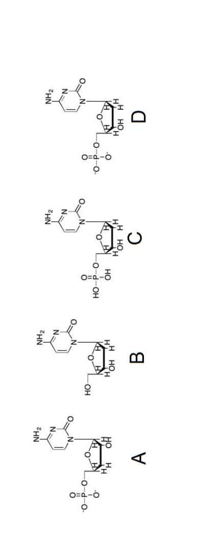 Solved Which Structure Is Deoxycytidine Monophosphate Chegg