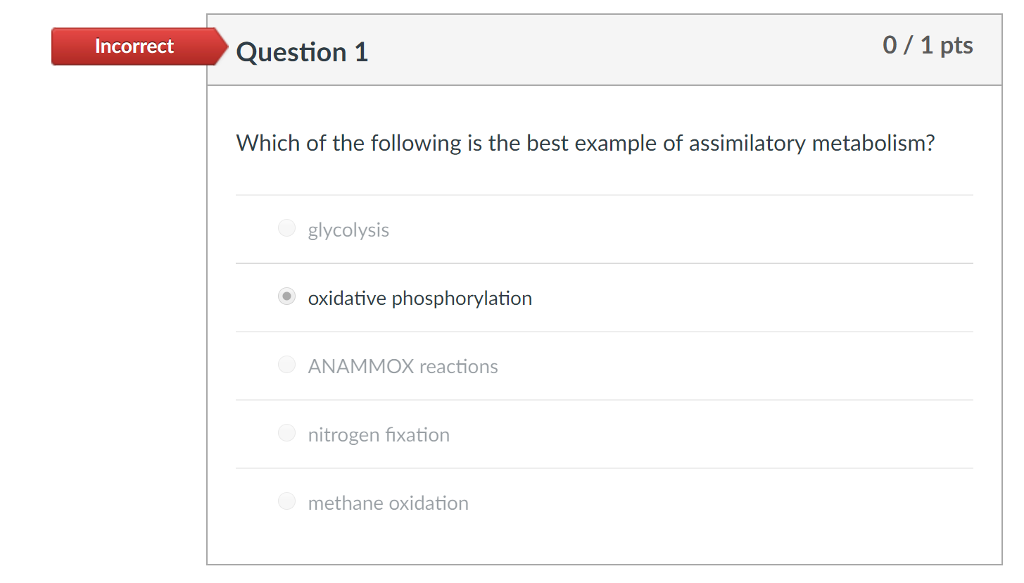 Solved Incorrect Question Pts Which Of The Following Chegg