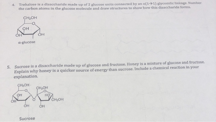 Solved Trehalose Is A Disaccharide Made Up Of Glucose Chegg