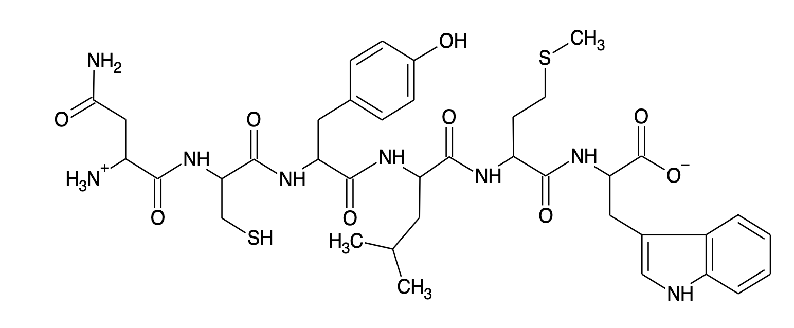 Solved HO CH3 NH2 S O NH HN HNÍ Han H3N NH HN HS H2C CH3 Chegg