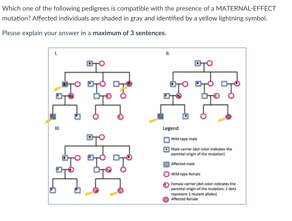 Solved Which One Of The Following Pedigrees Is Compatible Chegg