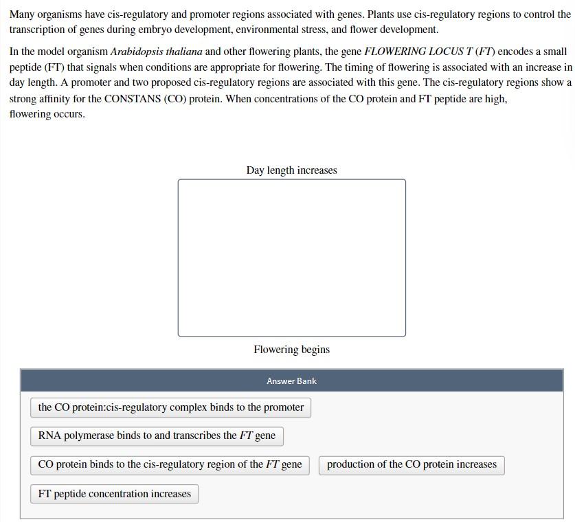 Solved Many Organisms Have Cis Regulatory And Promoter Chegg