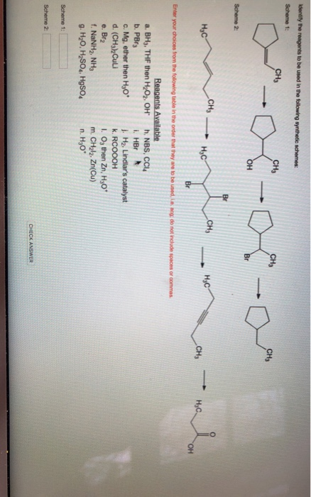 Solved Ch Ch Chs Scheme Ch Ch Ch Br A Bh Thf Chegg