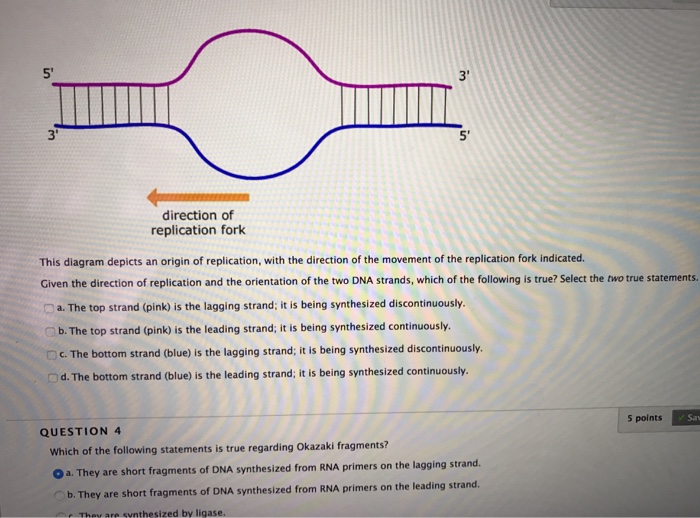 Solved The Diagram Depicts An Origin Of Replication With Chegg