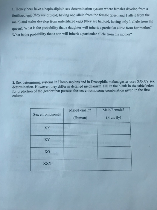 Solved Honey Bees Have A Haplo Diploid Sex Determination Chegg