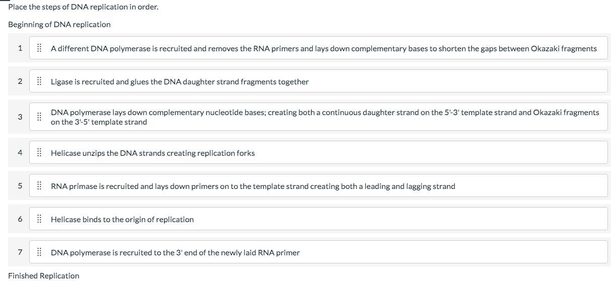 Solved Place The Steps Of DNA Replication In Order Chegg