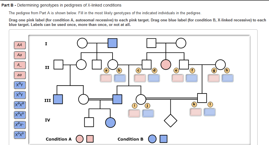 College biology homework help