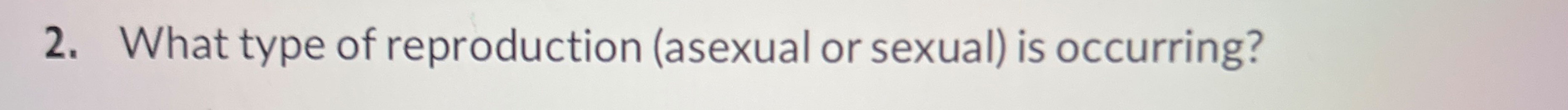 Solved What Type Of Reproduction Asexual Or Sexual Is Chegg